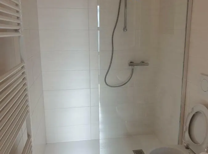 Apartment Dal Mariano Brenzone sul Garda